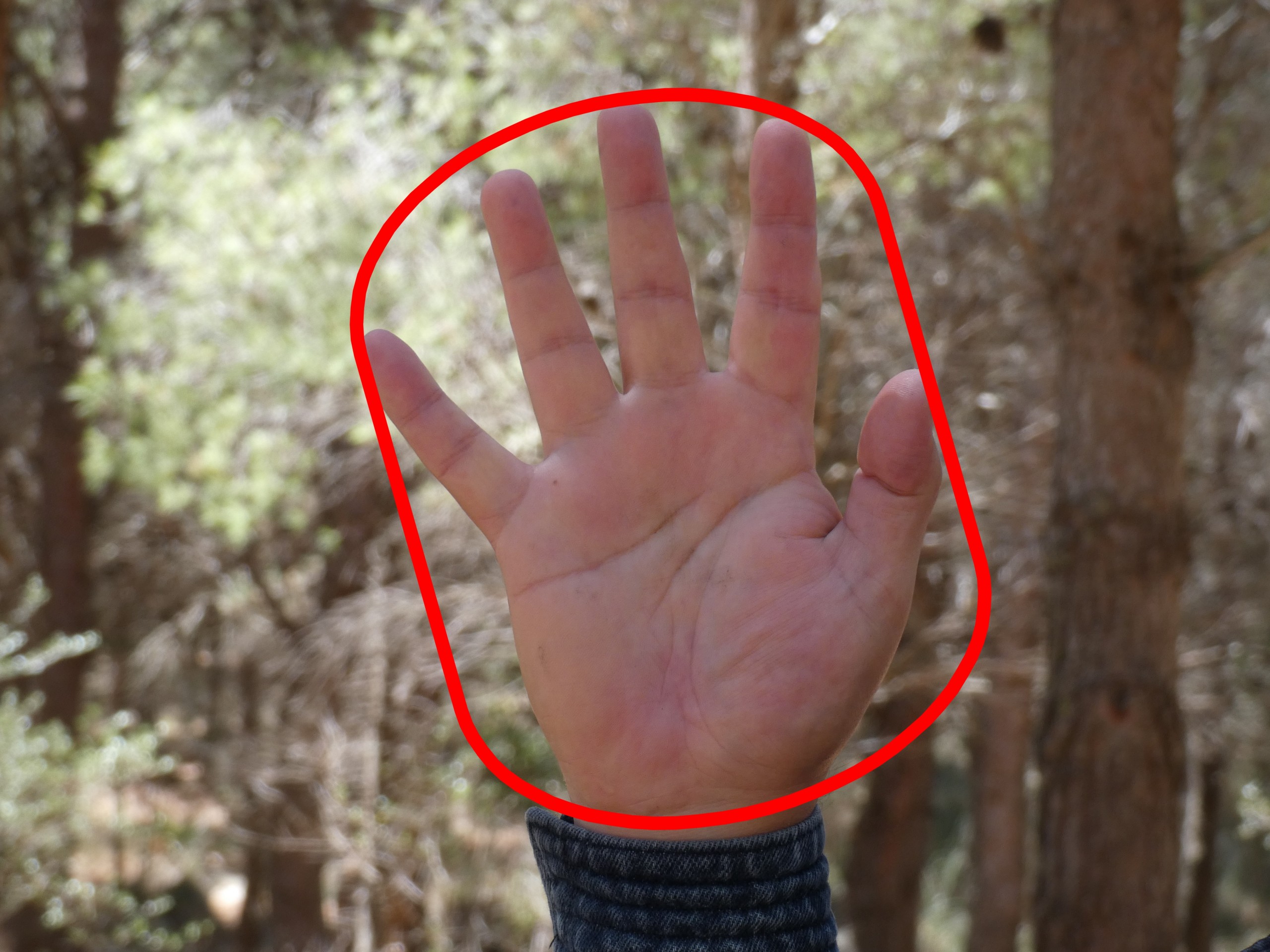 34°) Tepparoji Ken ( Spinta con il Palmo della mano appoggiando lo stesso sul Volto di Uke